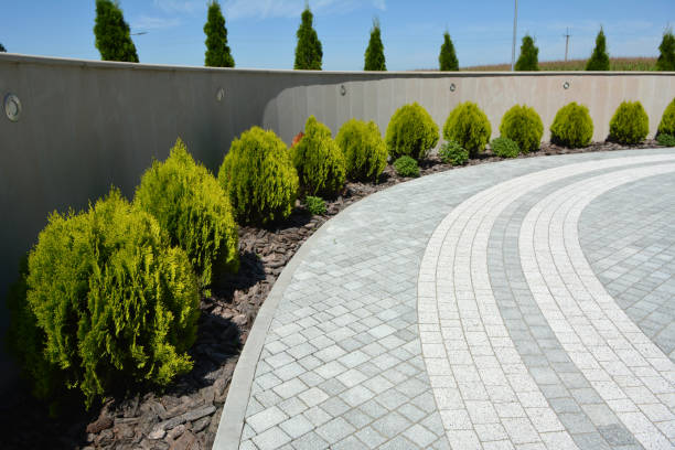 Best Decorative Driveway Pavers  in Johnson City, TN