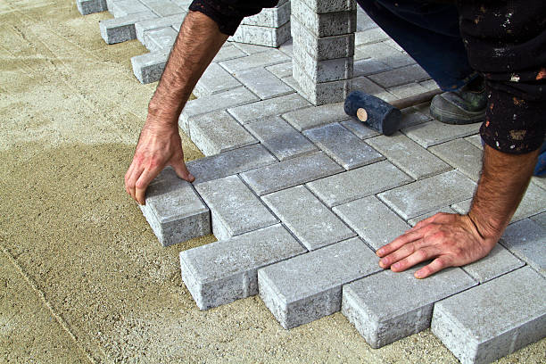 Best Local Driveway Pavers  in Johnson City, TN
